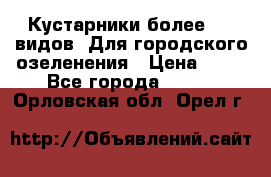 Кустарники более 100 видов. Для городского озеленения › Цена ­ 70 - Все города  »    . Орловская обл.,Орел г.